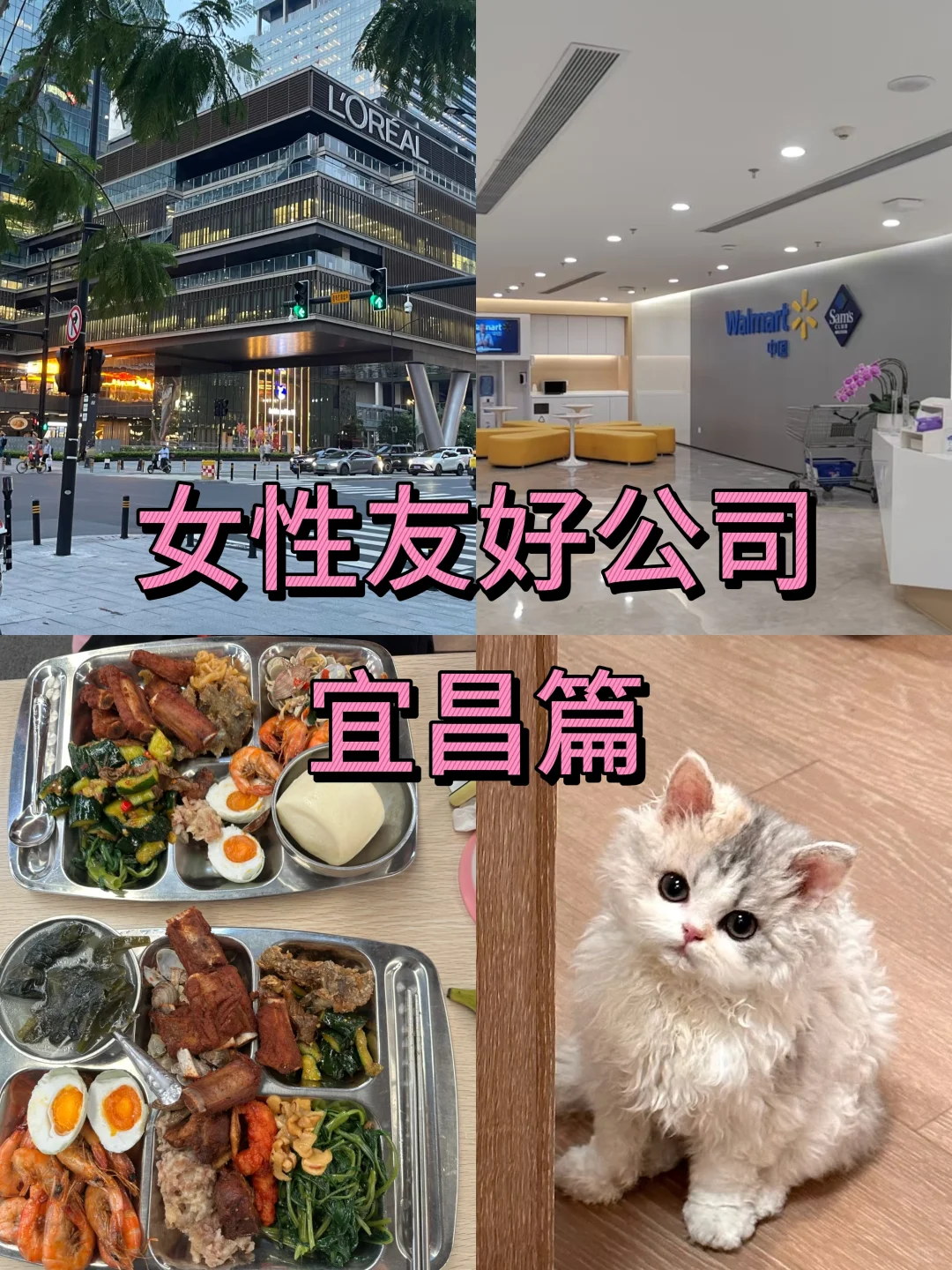 女性友好公司：宜昌篇
