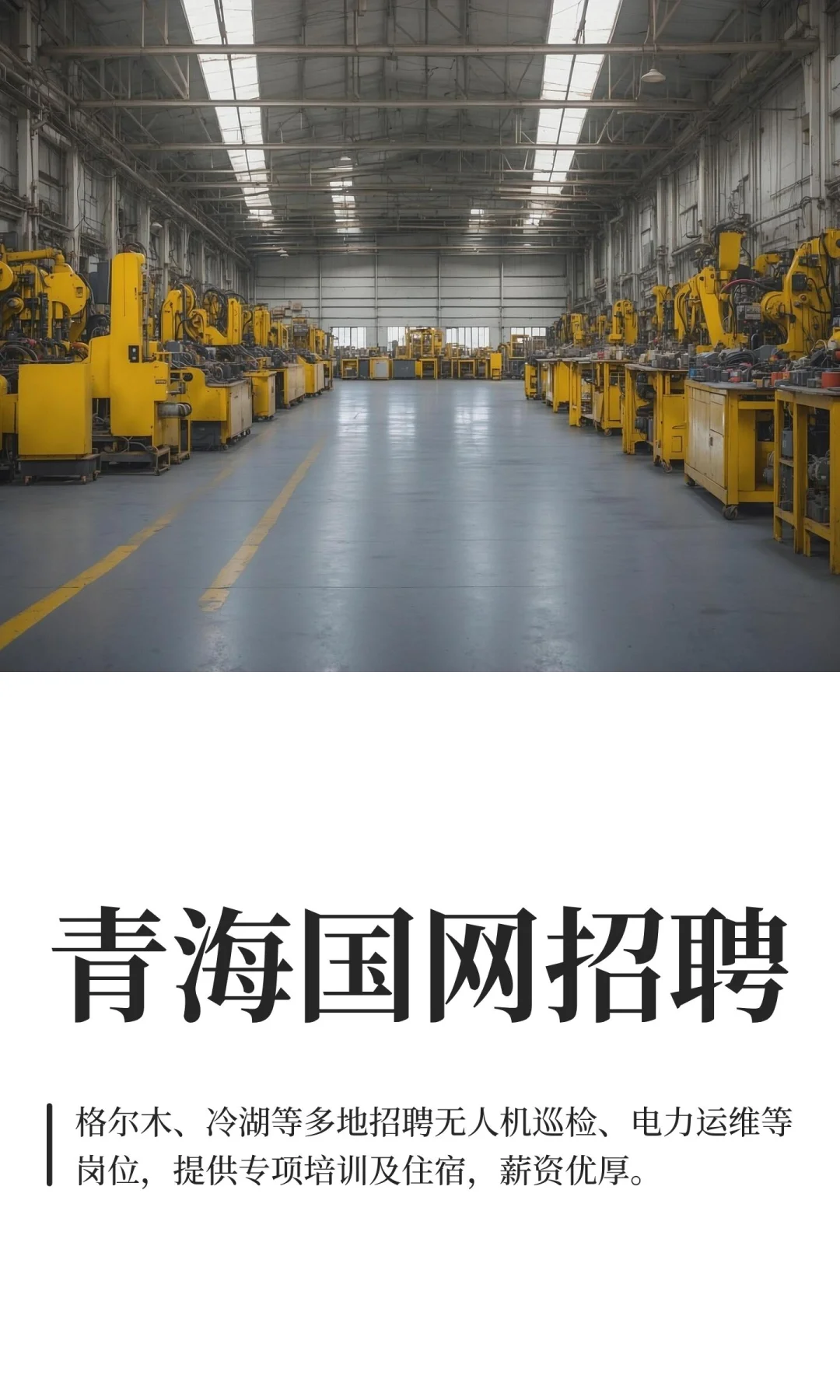 青海国网招聘