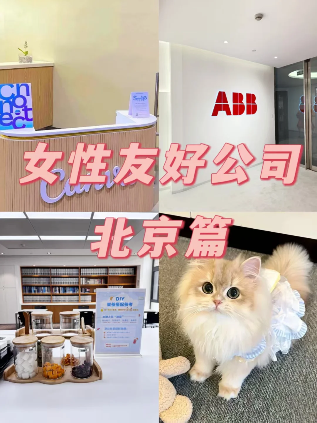 北京女性友好公司