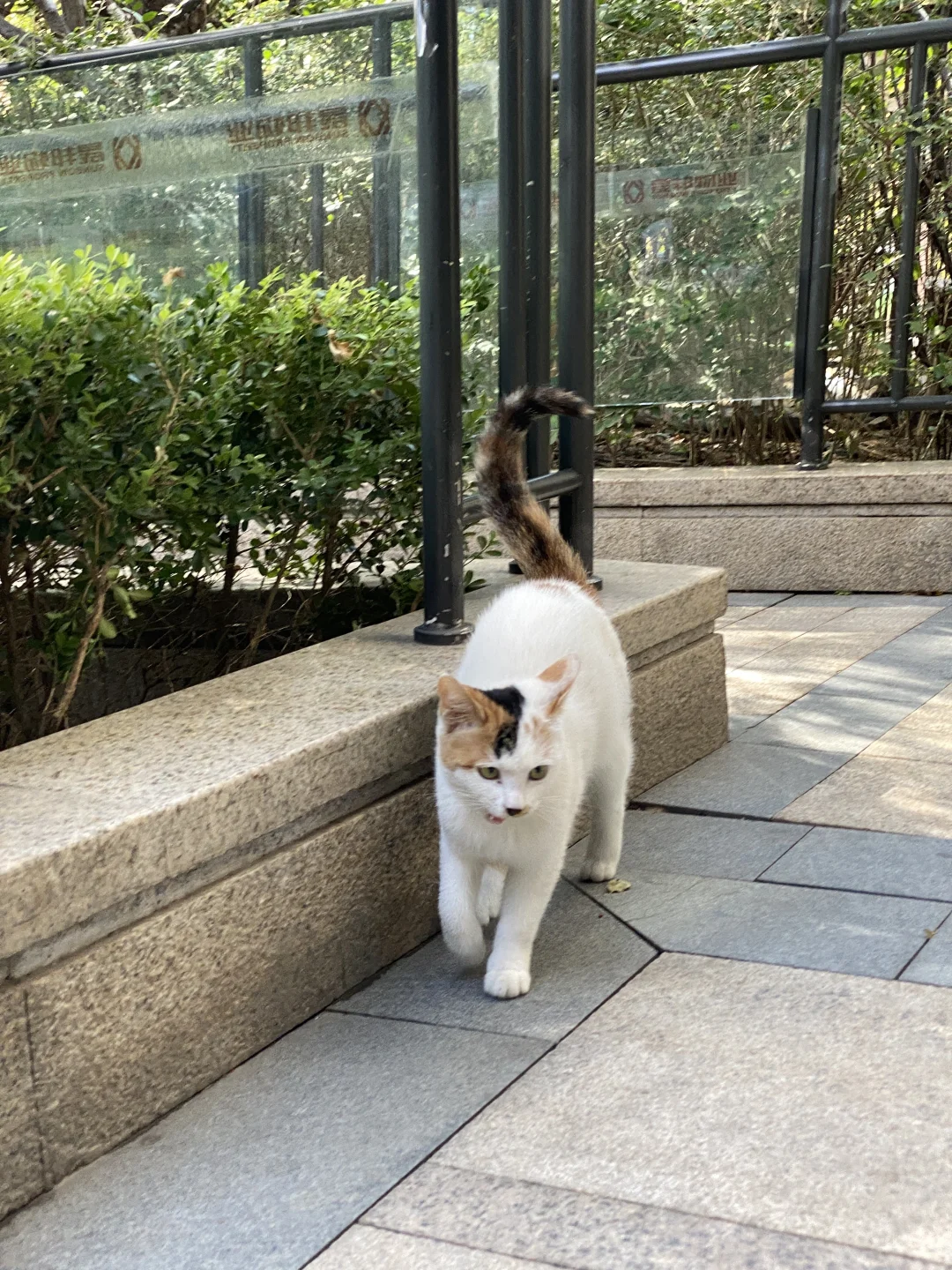 北京高级会计师失业后就地躺平😌