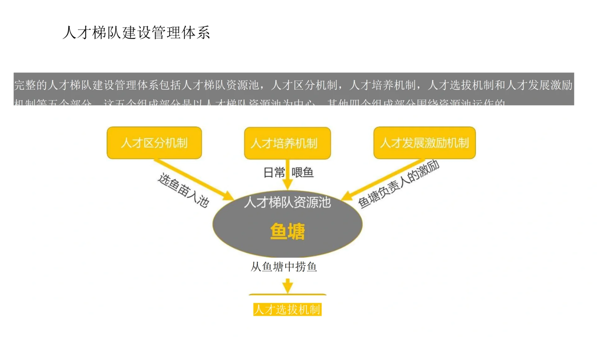 如何从0-1搭建企业人才梯队！✅