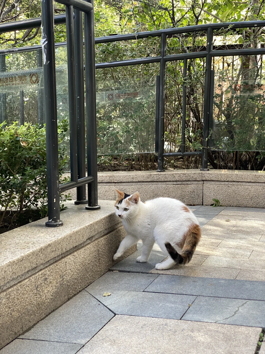 北京高级会计师失业后就地躺平😌