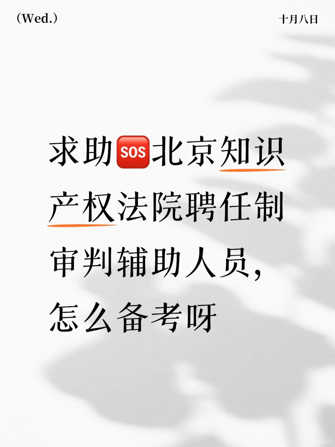 北京知识产权法院审判辅助人员