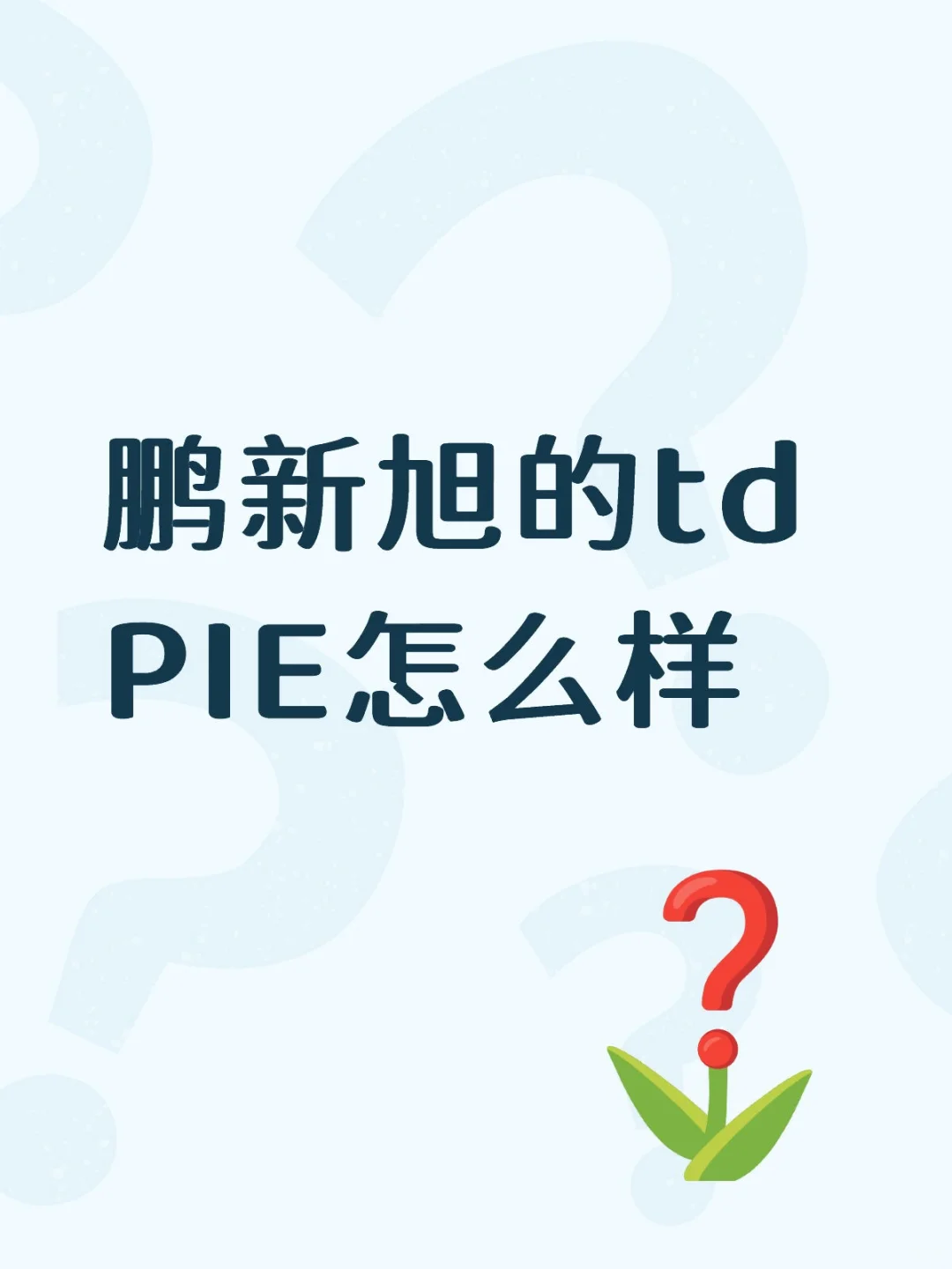 鹏新旭的td PIE怎么样