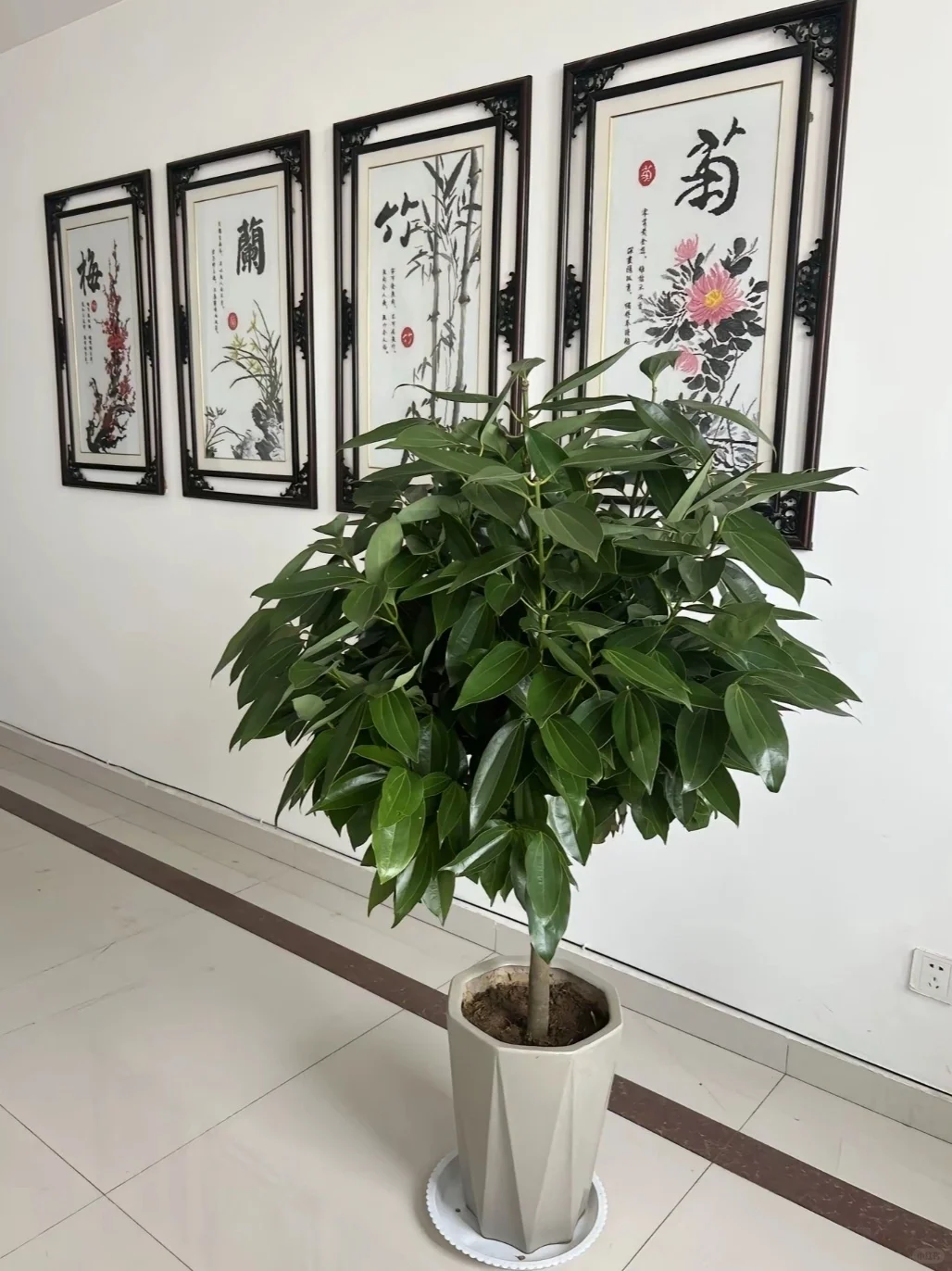 周末双休朝九晚六！！无经验也可！！
