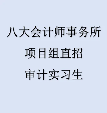 八大会计师事务所招审计实习生