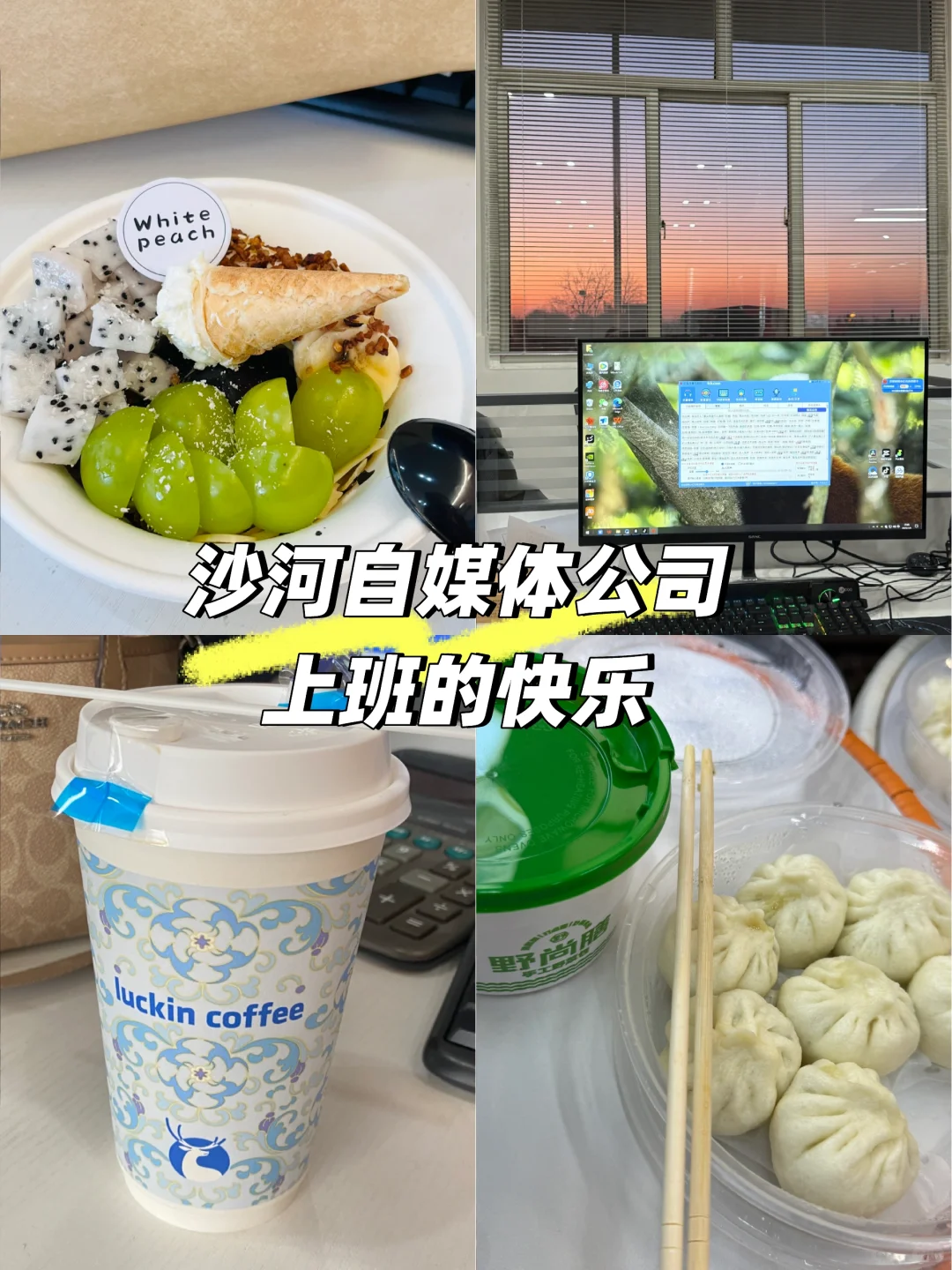 沙河一家自媒体直播公司太香了～