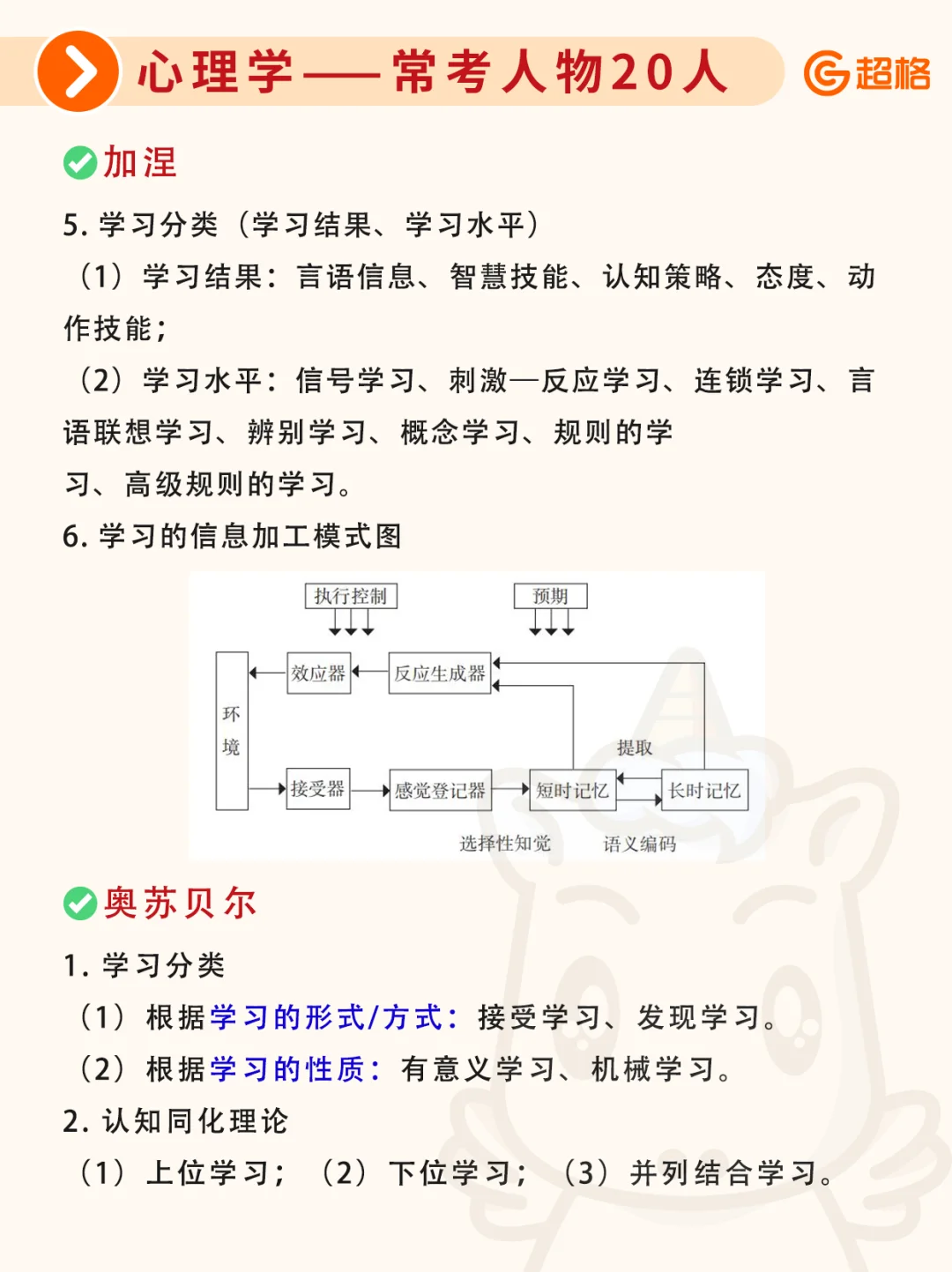 河北教招｜心理学常考人物20人汇总🔥