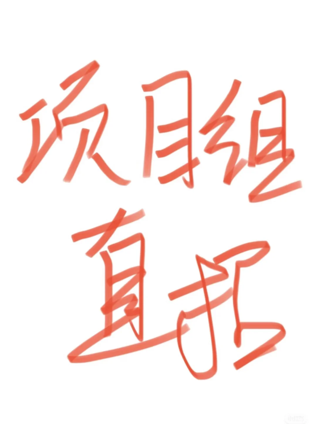 审计实习-项目组直招