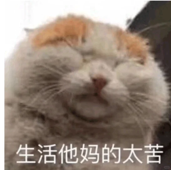 北漂的一对中年牛马