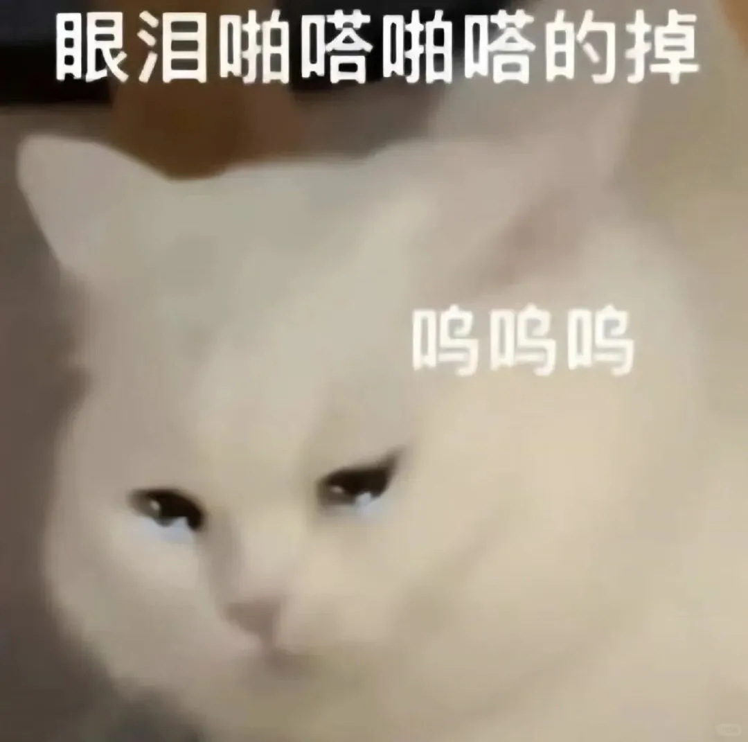 面试官让回来做ppt演示这对吗😰