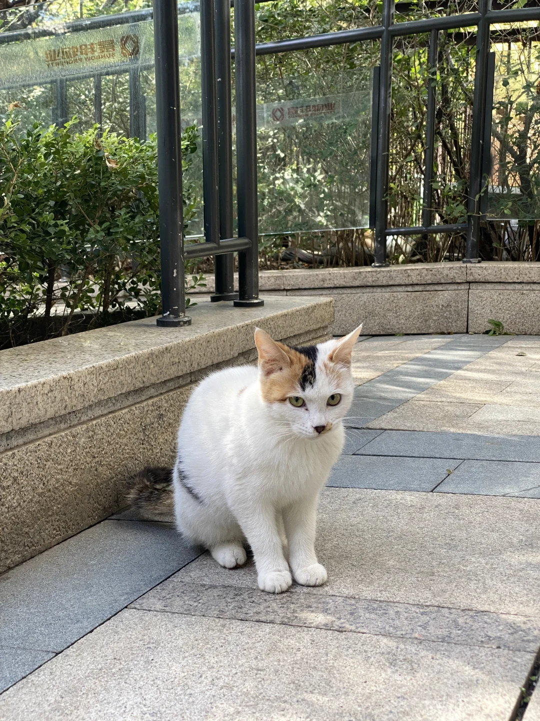 北京高级会计师失业后就地躺平😌