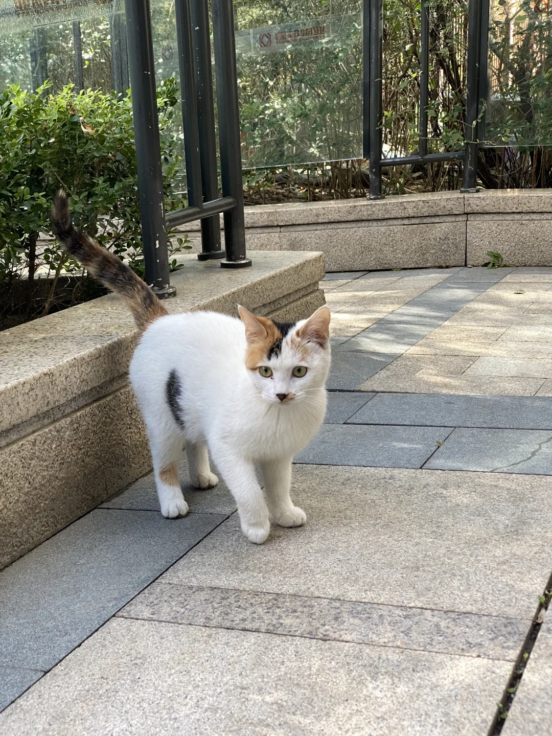 北京高级会计师失业后就地躺平😌