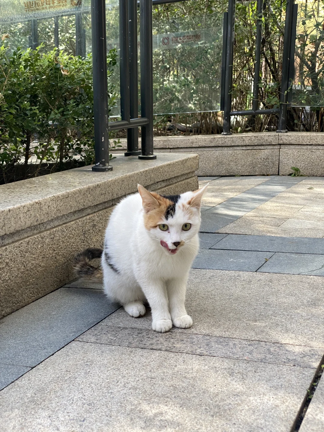 北京高级会计师失业后就地躺平😌