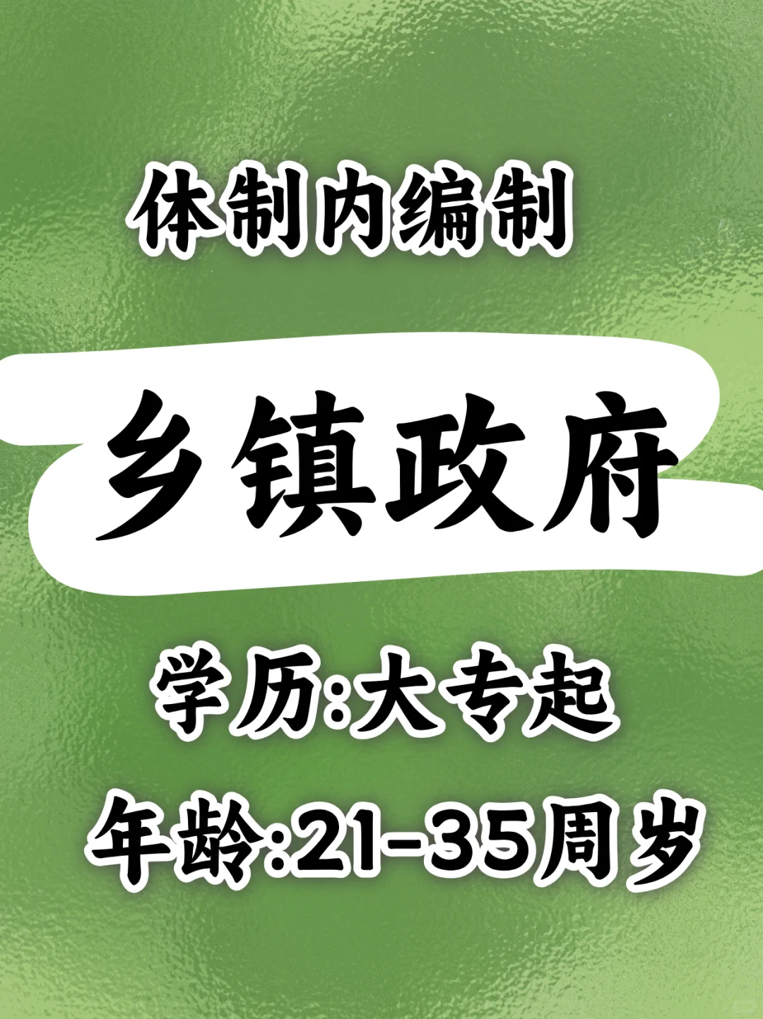 乡镇政府编制大专起,点击咨询