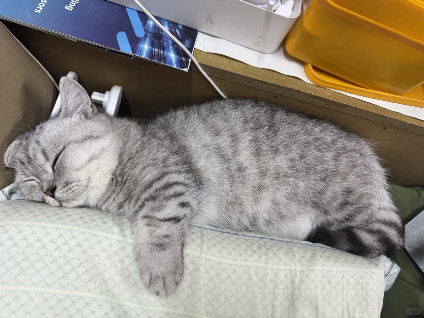 上海浦东川沙急招导诊