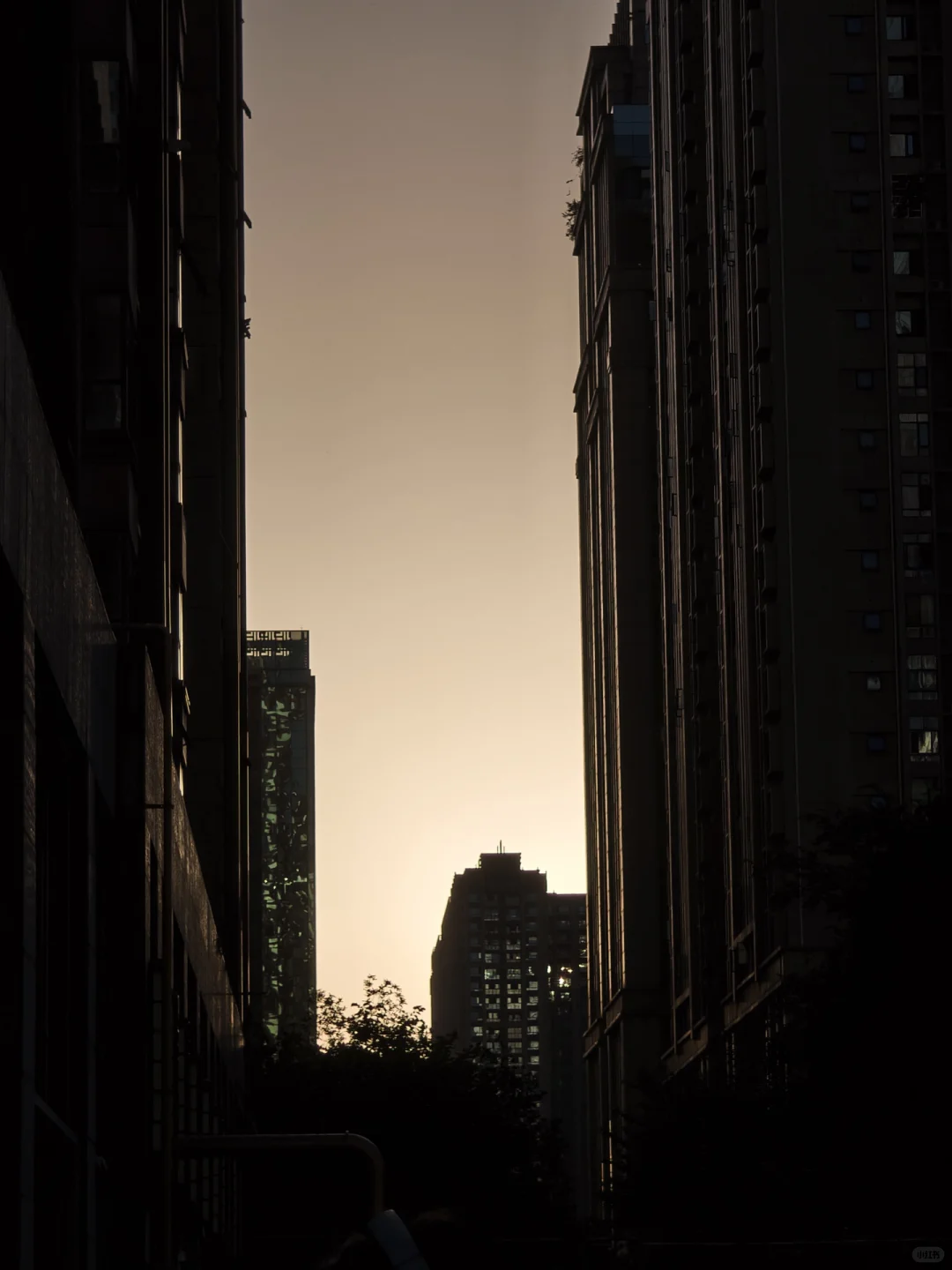 冷门但意外好进的外企base：苏州