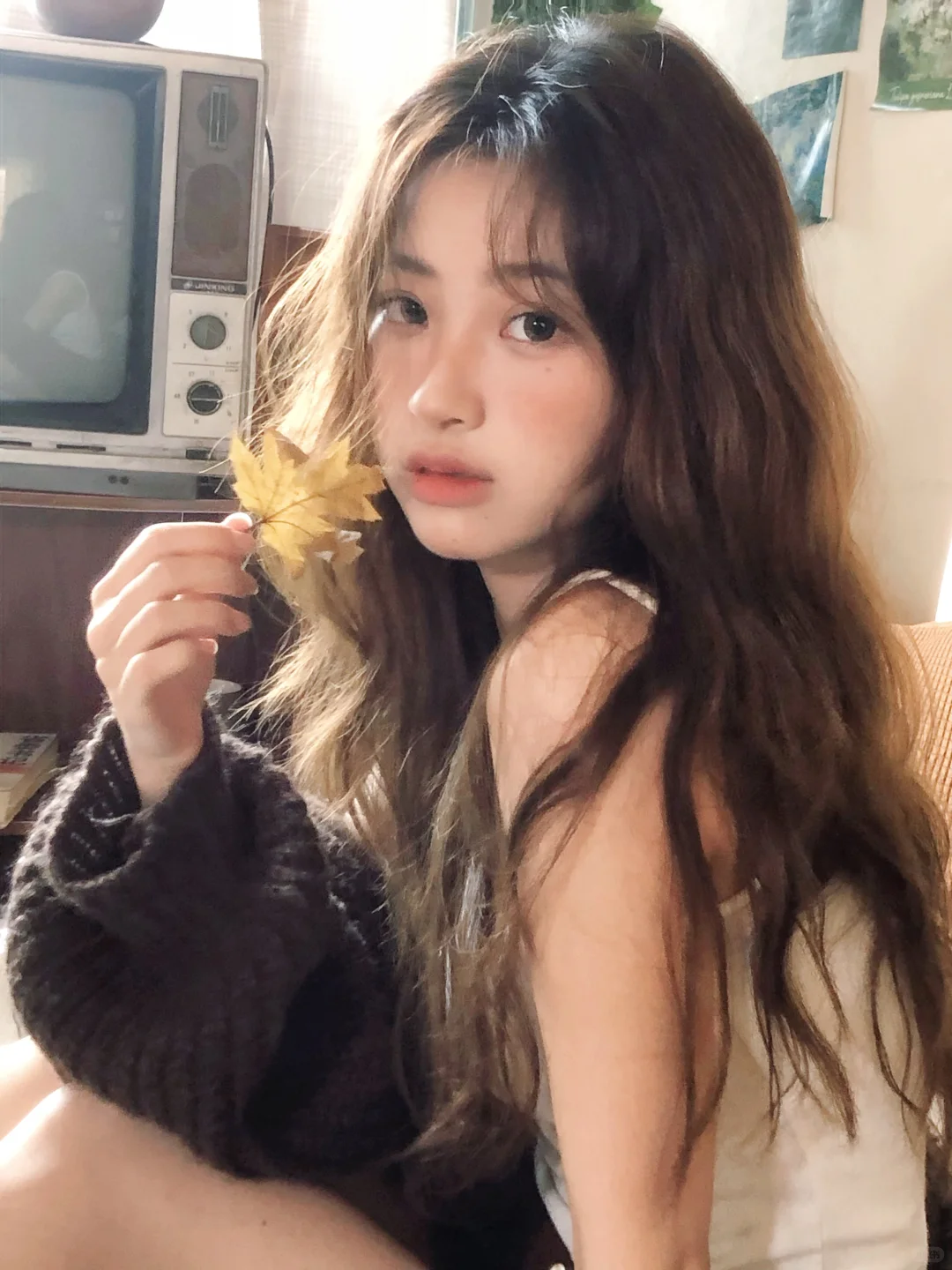 秋日来信🍂🍁