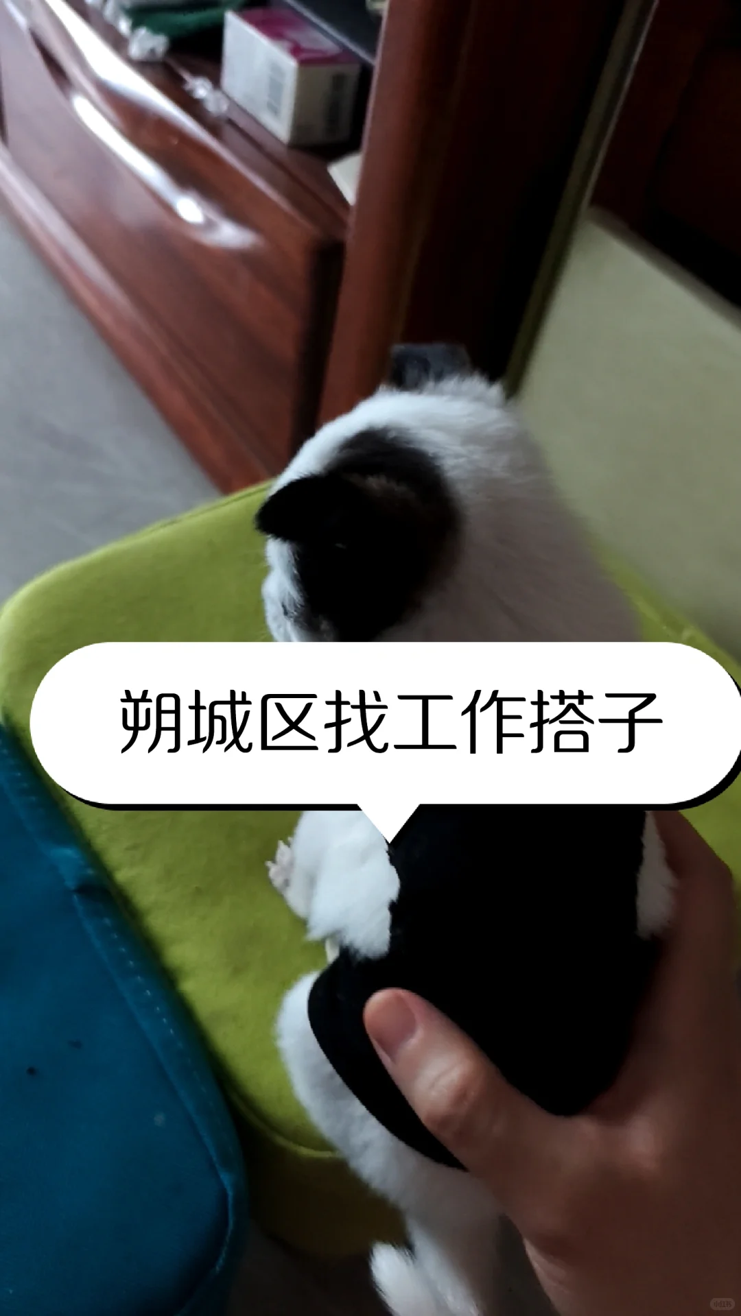 有一起找工作的宝子吗
