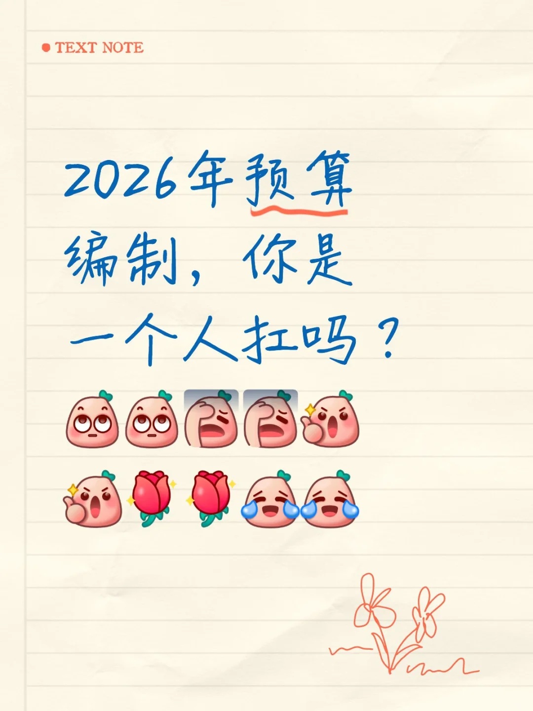 2026年预算编制，你是一个人扛吗？