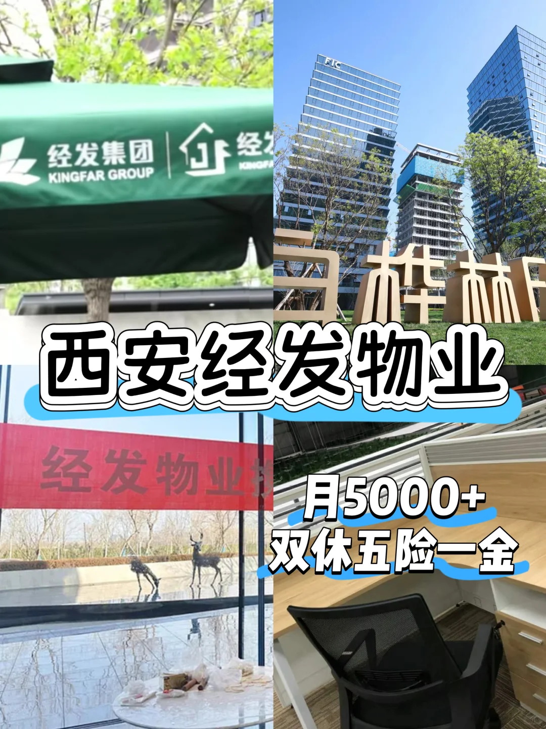西安国企经发物业捞人啦！双休！