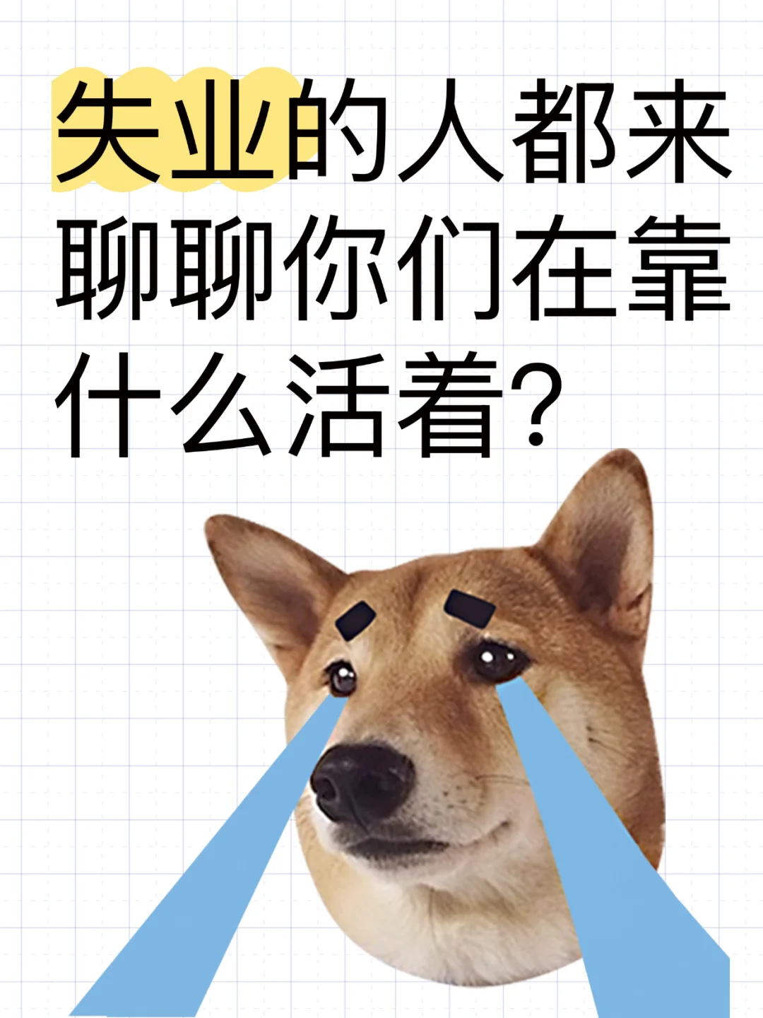 失业了，你们都在靠什么活着