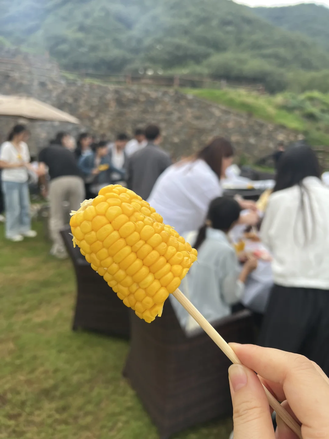 招聘一位短视频剪辑
