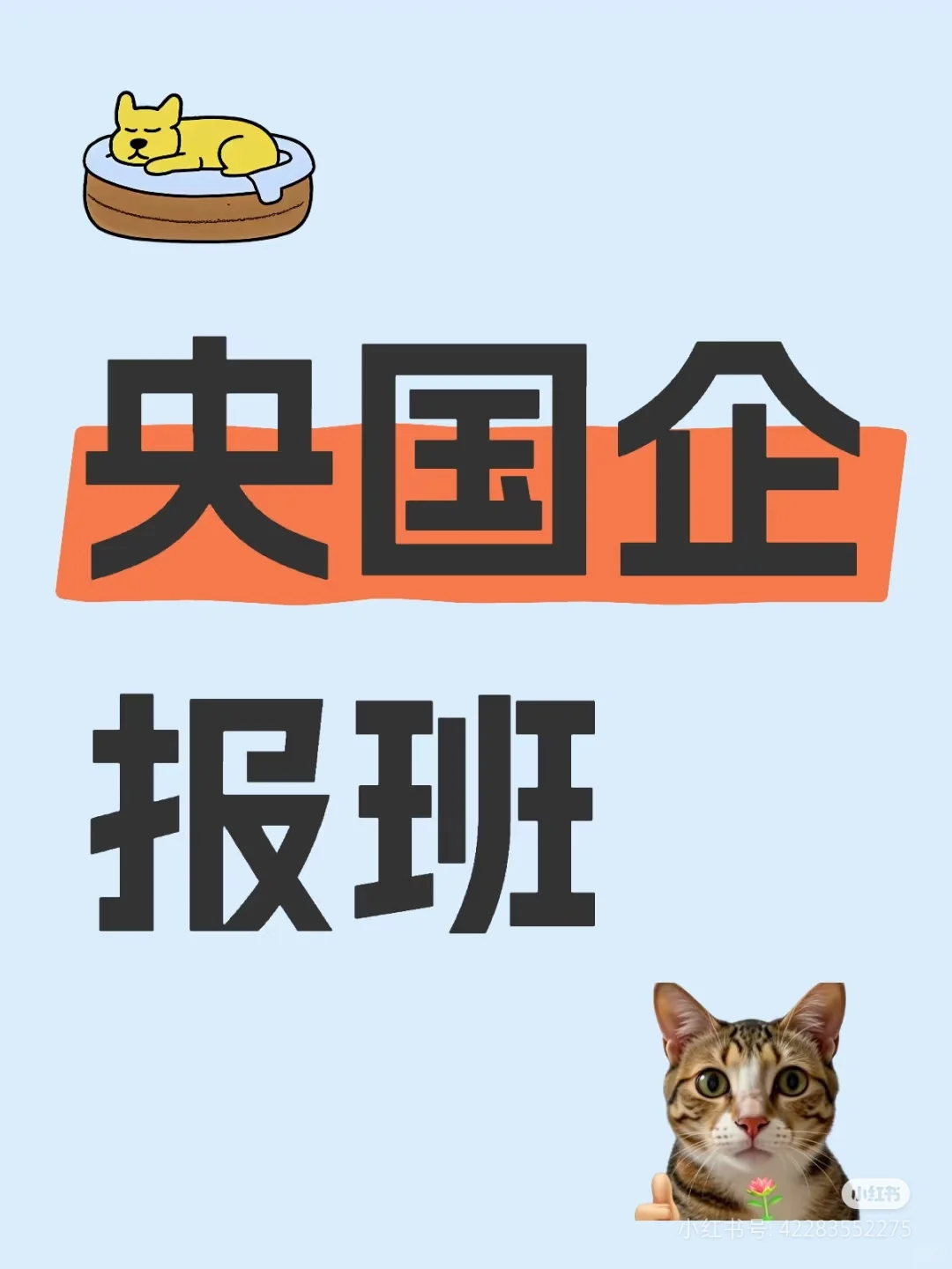 有没有一起报的啊