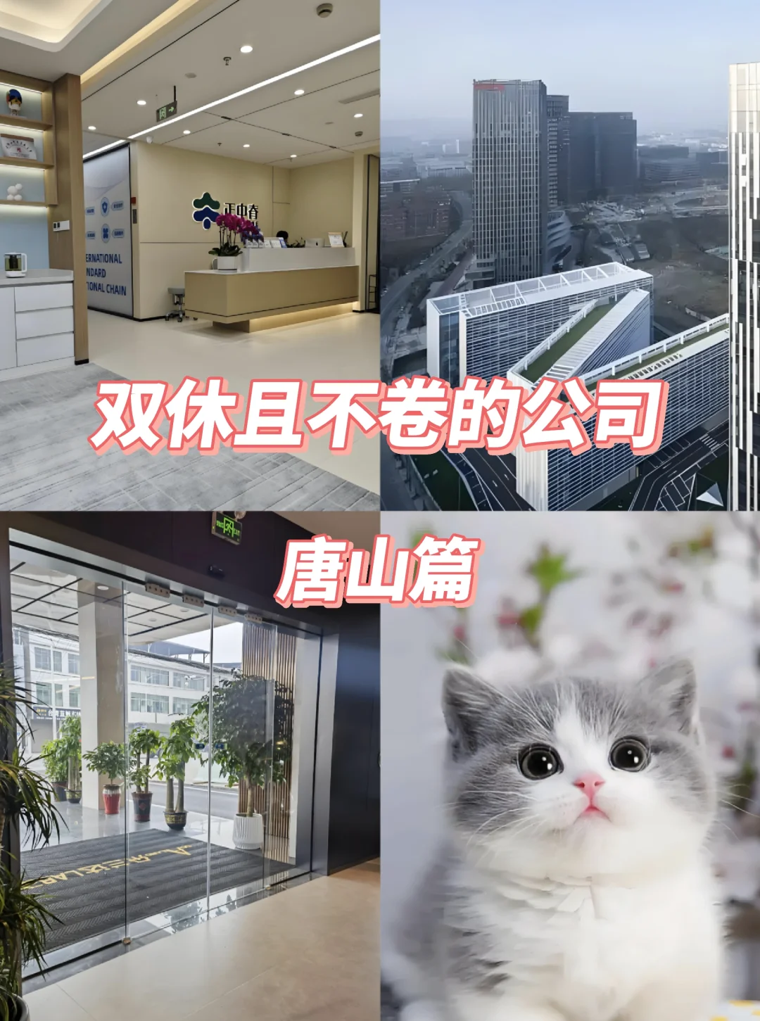唐山宝子速藏！12家双休不卷的神仙公司🔥