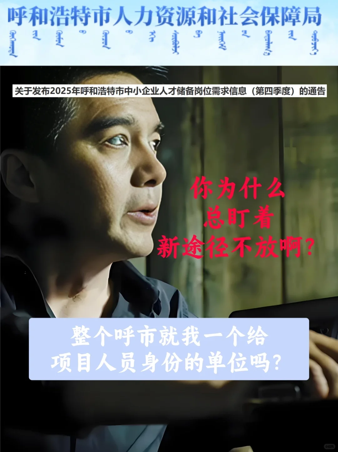 呼市这波人才储备不比三支一扶香？