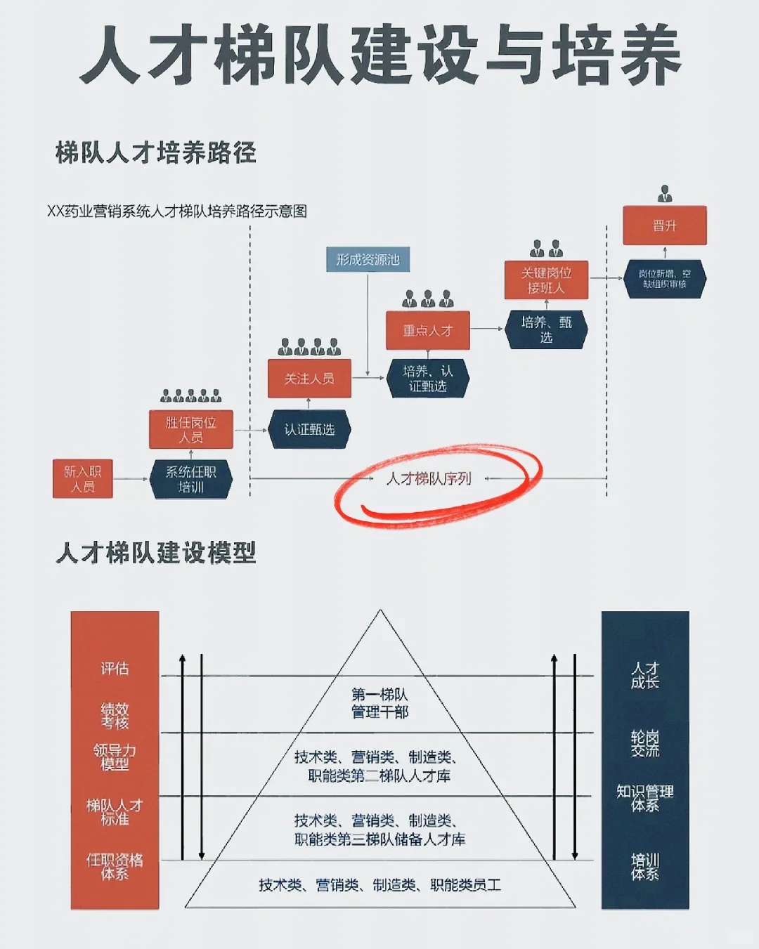 建设人才梯队！让人才为发展加速🏃‍♂️