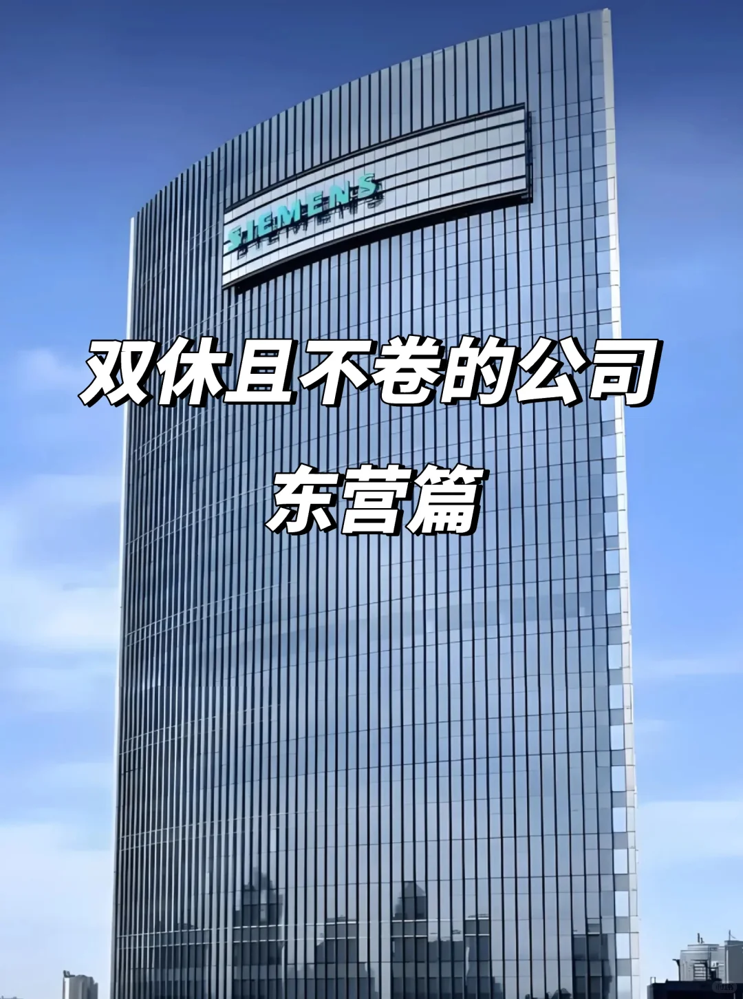 东营宝子速看！这12家双休不卷公司太香了！