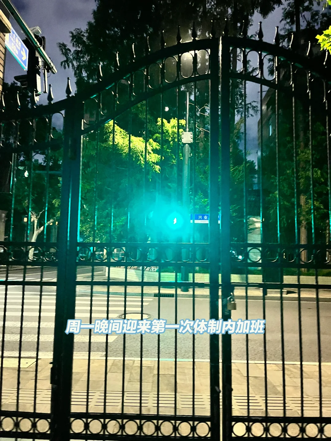 暑期挂职丨今天是区公务员局✊🏻