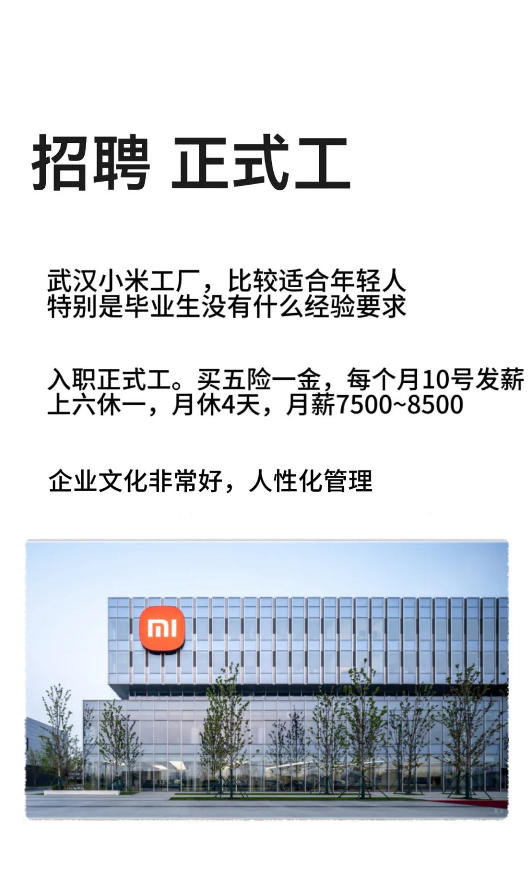 小米正式工招聘