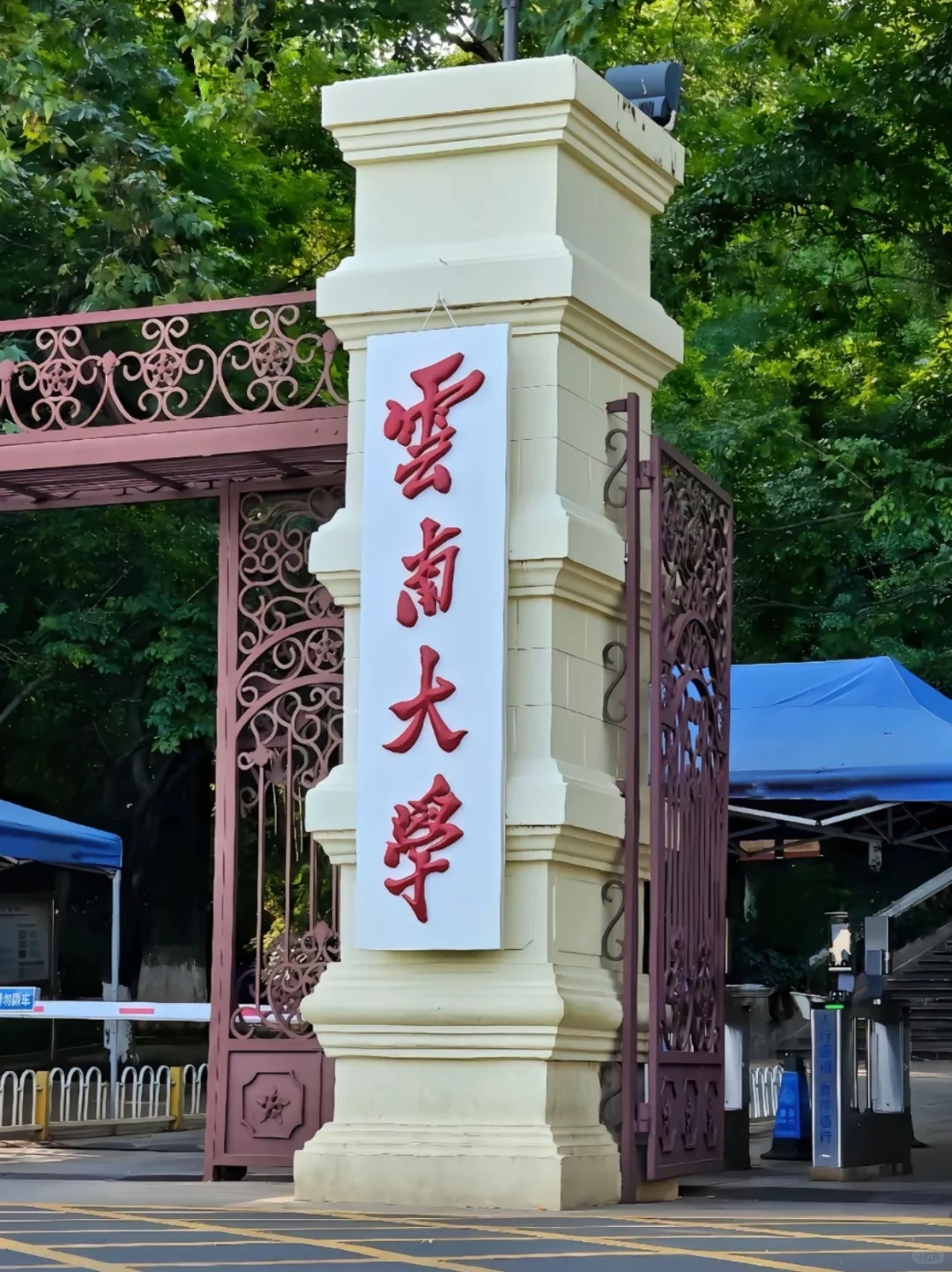只能说，现在报考云南大学的都是天才！