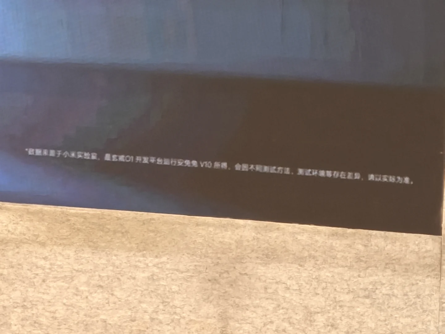 大家都在拍小米招聘会的PPT小字