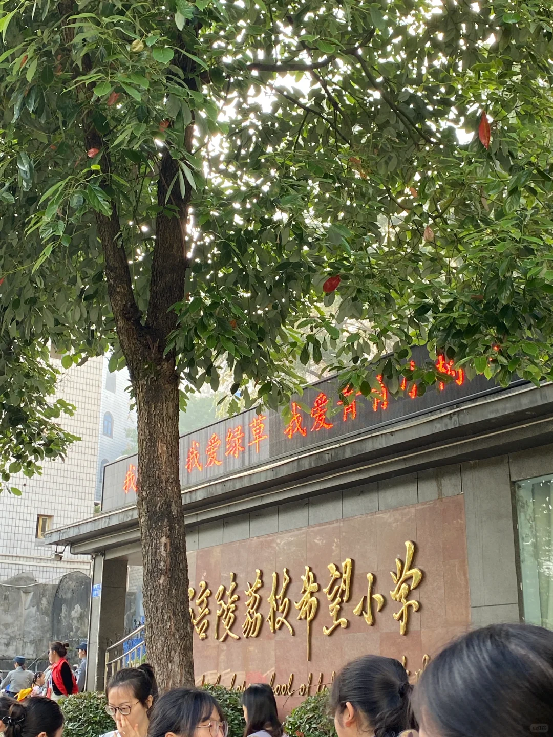 在小学实习第二天我居然……