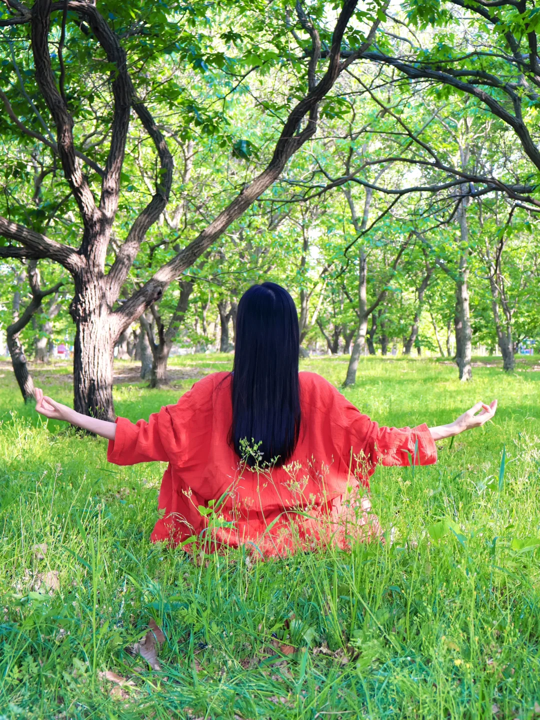 和自然融为一体🌳🌳🌳