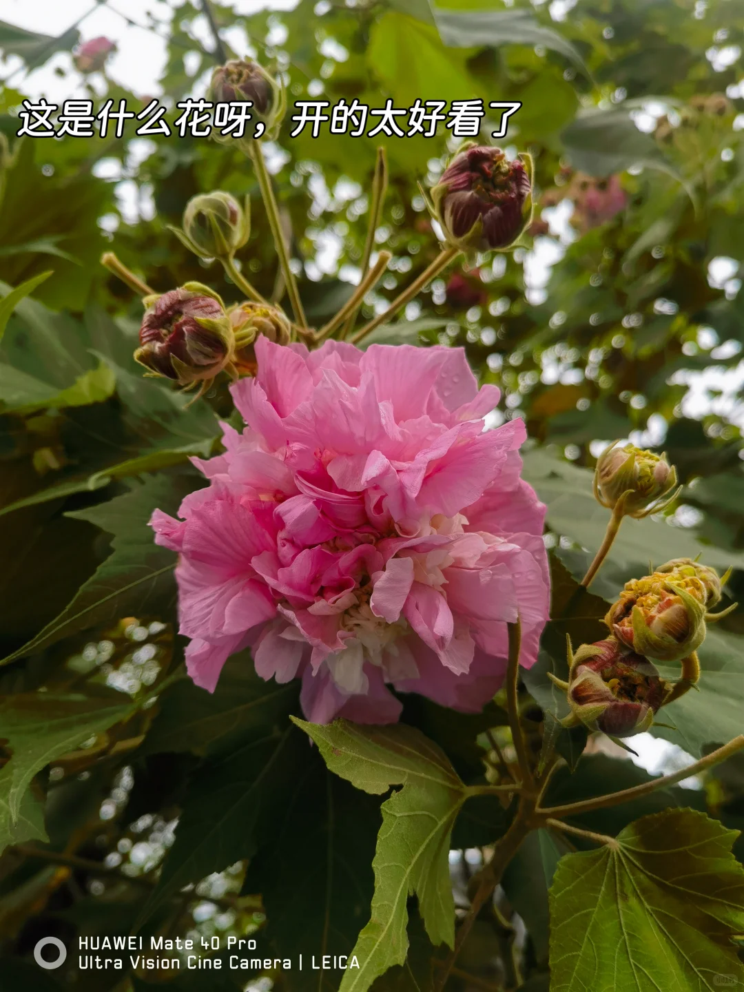 88年月薪4500存钱日常，生活的幸福感