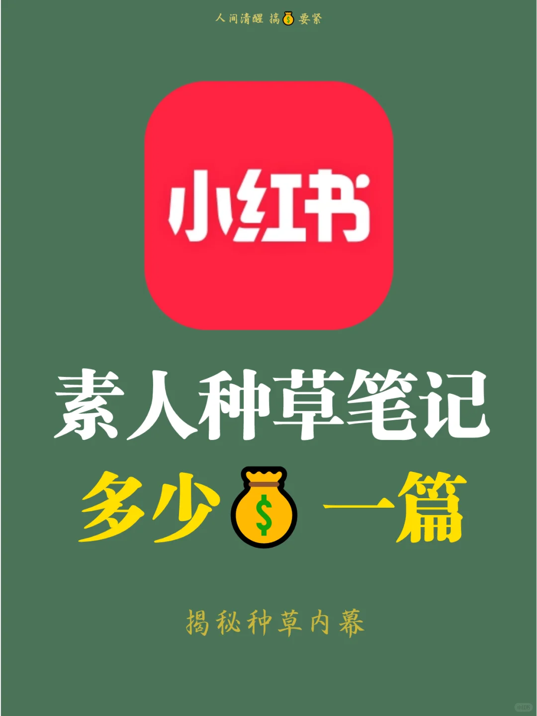 小红书种草🌱笔记多少💰一篇？