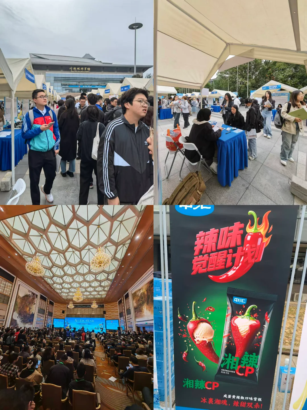 北漂3年，被湖南一场招聘会整破防了！