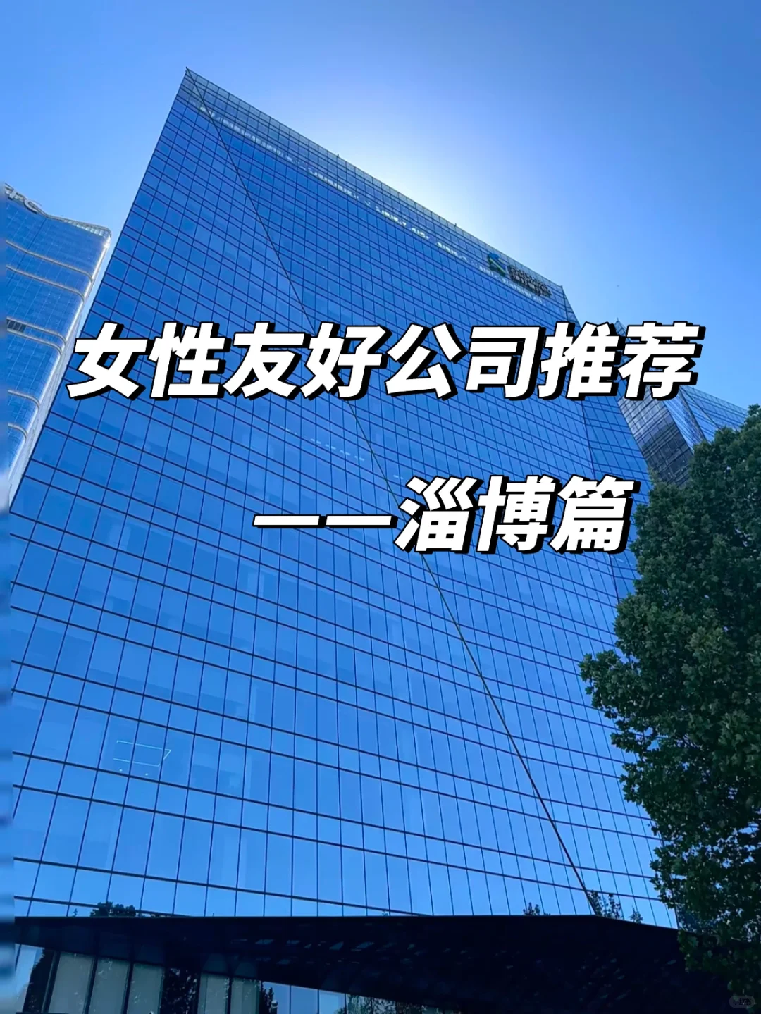 女性友好公司——淄博篇