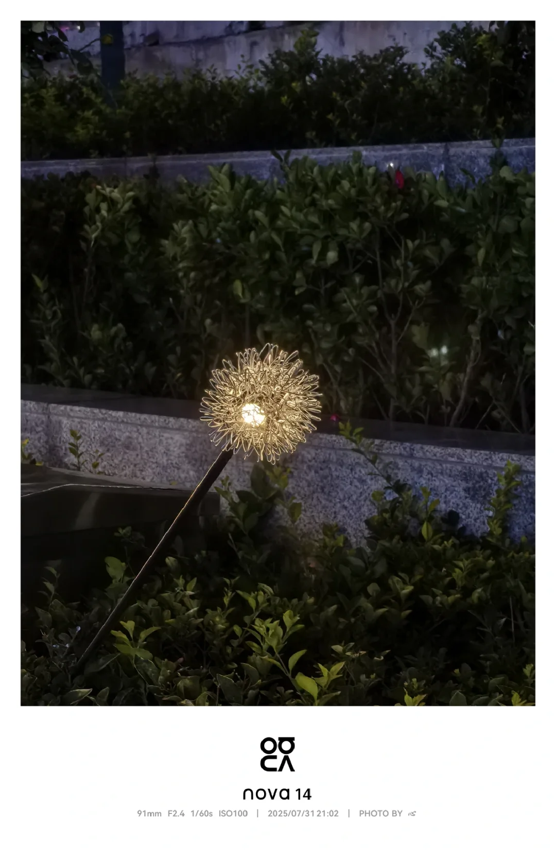 就业见习你骗得人好惨