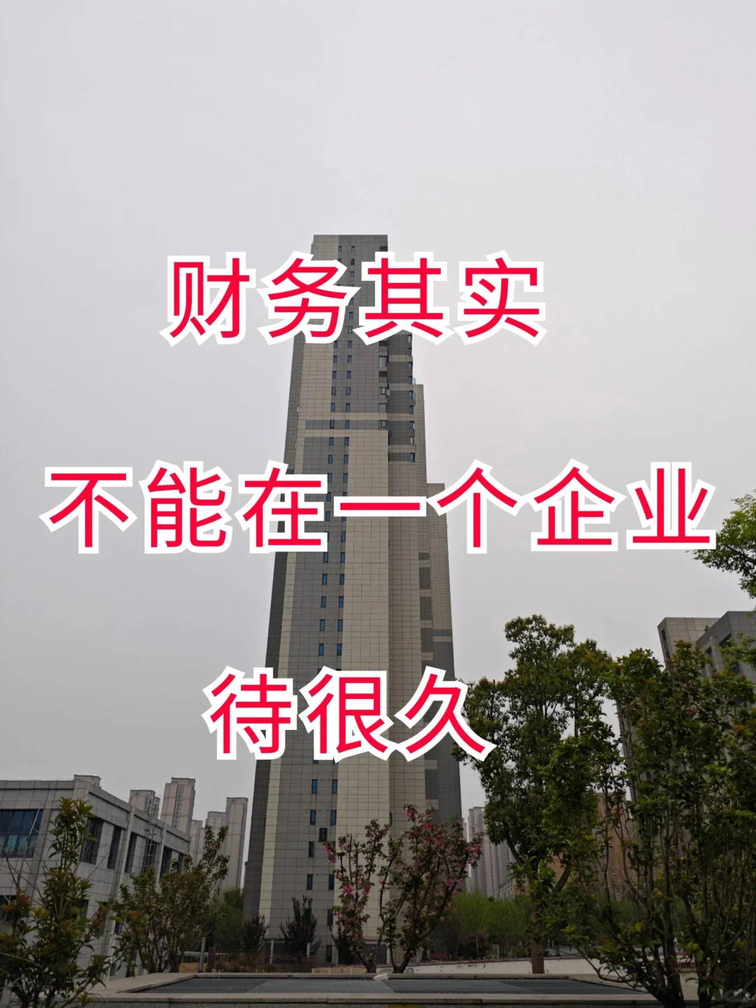 财务总监说：财务于一企业，不宜久留！