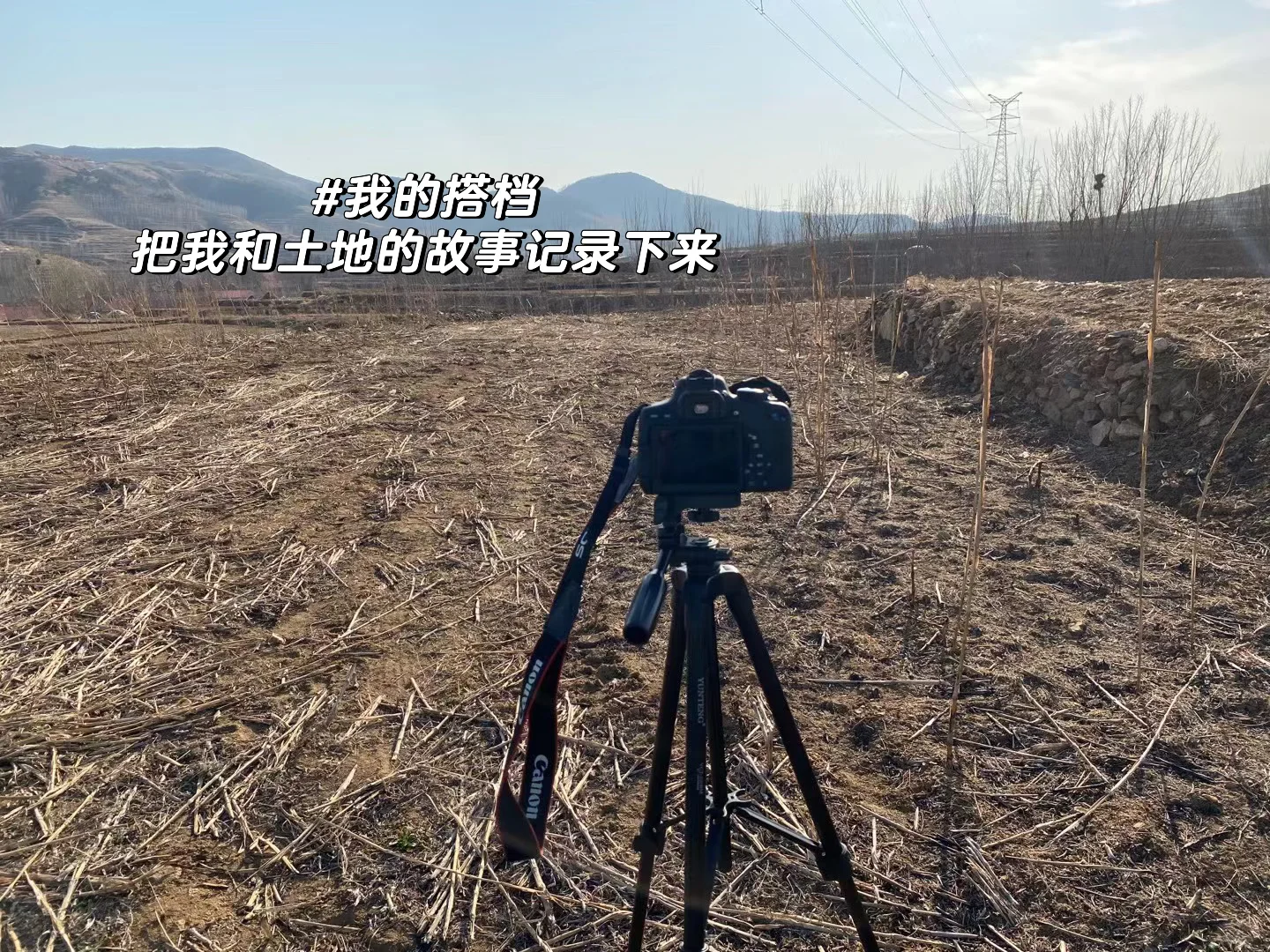 普通人返乡创业｜需要具备哪些技能‼️