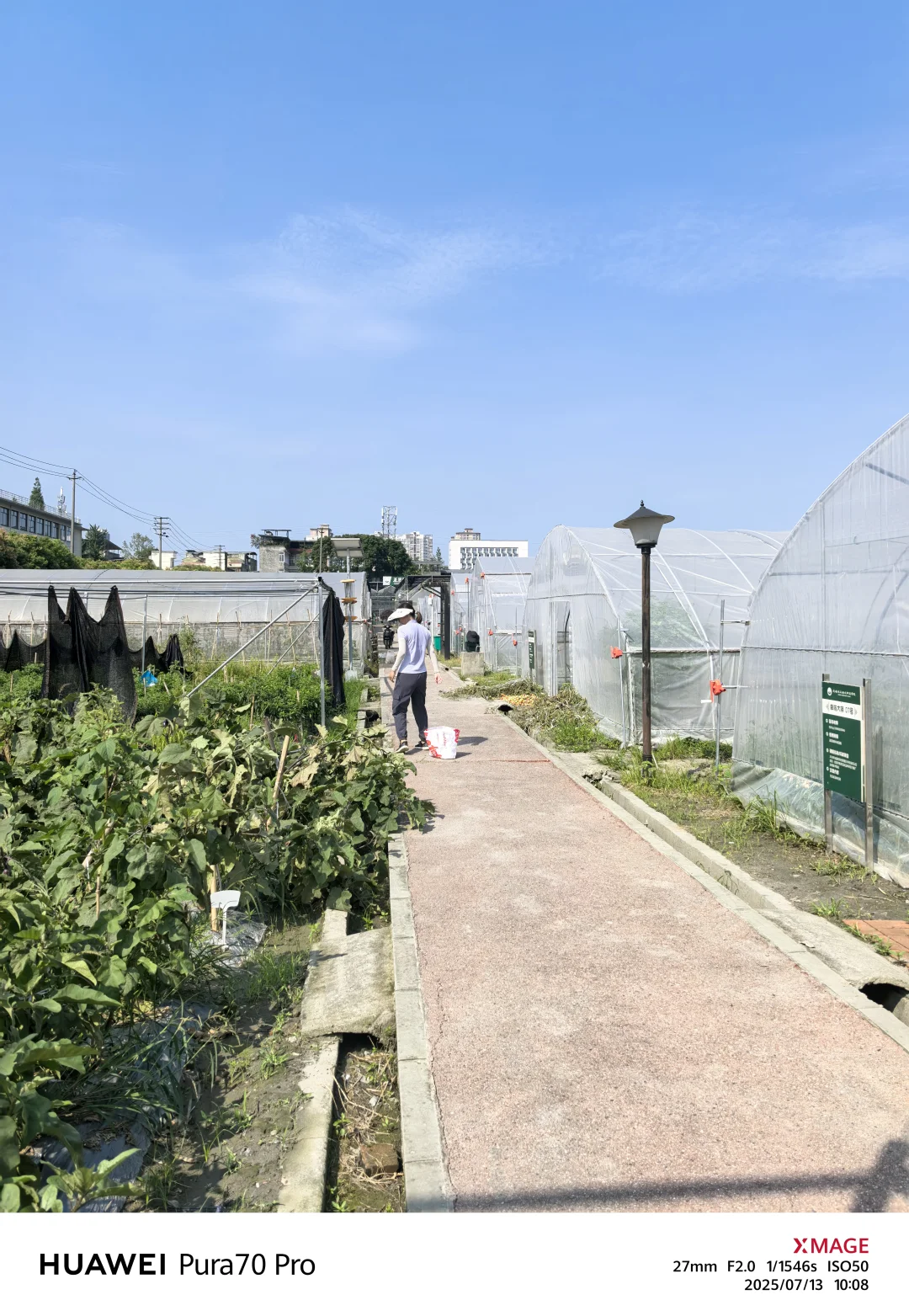 农科院＝农村