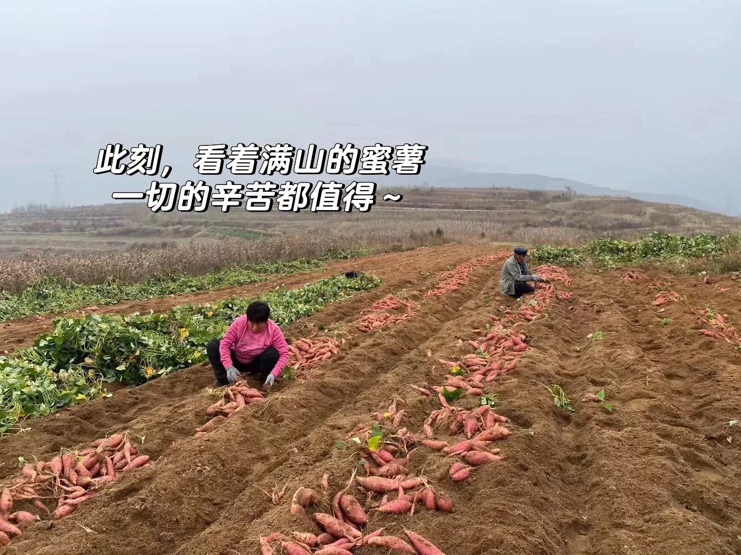 普通人返乡创业｜需要具备哪些技能‼️
