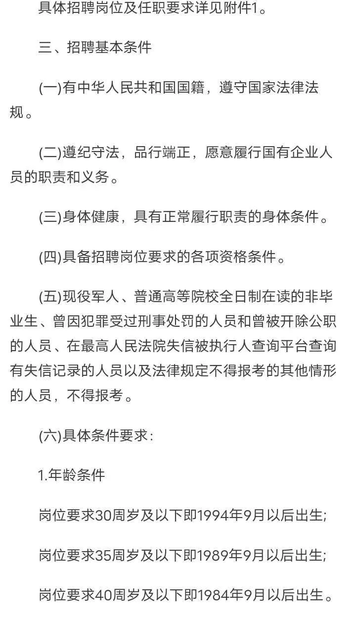 2025年泉州市公开招聘项目制工作人员14名