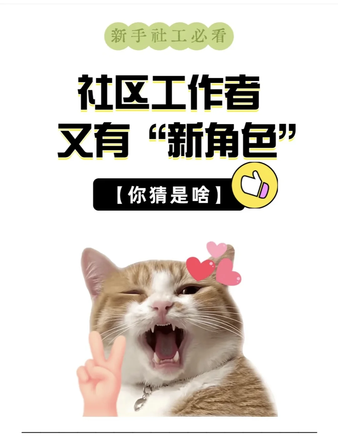 社区工作者又有“新角色”了？？？