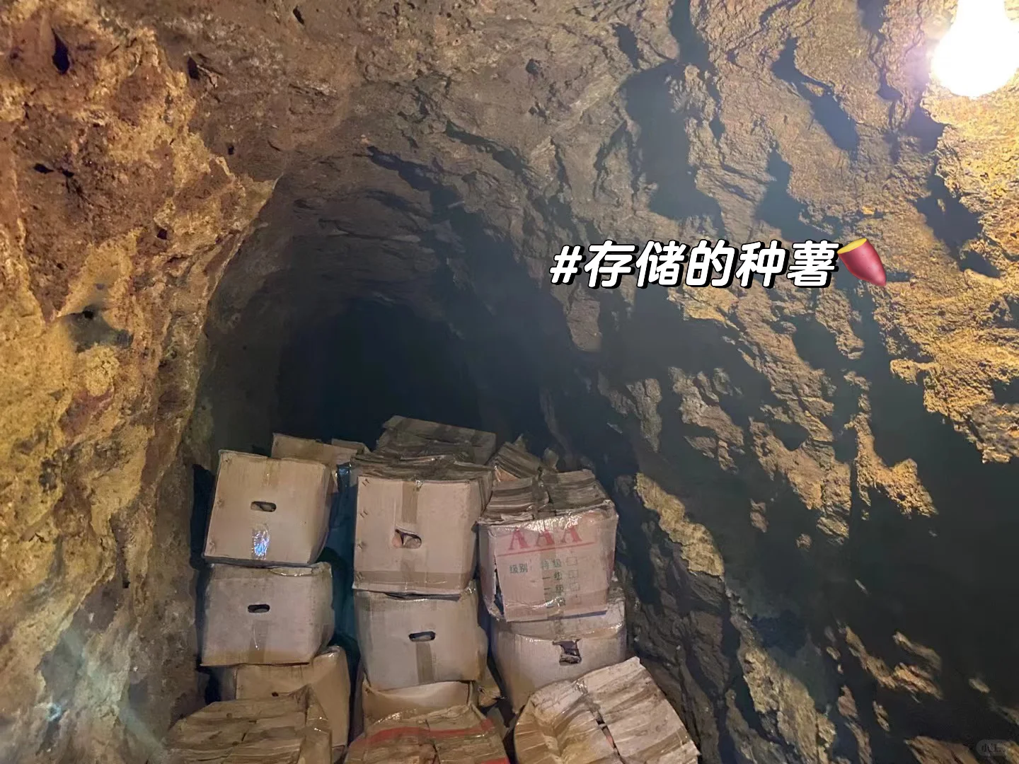 普通人返乡创业｜需要具备哪些技能‼️